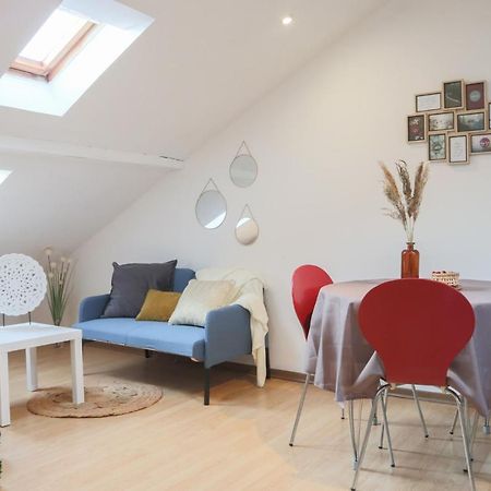 Le Petit Loft, Mulhouse Centre公寓 外观 照片