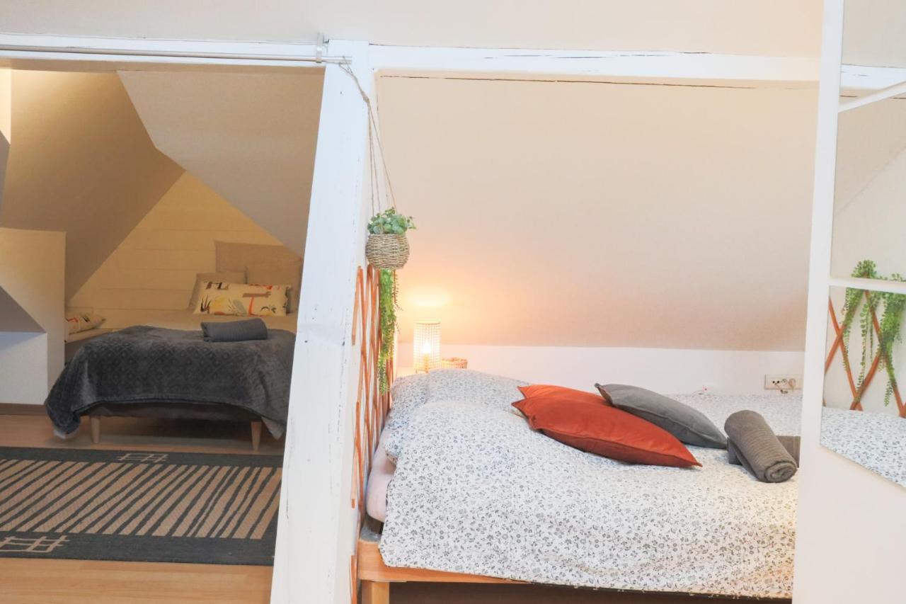 Le Petit Loft, Mulhouse Centre公寓 外观 照片
