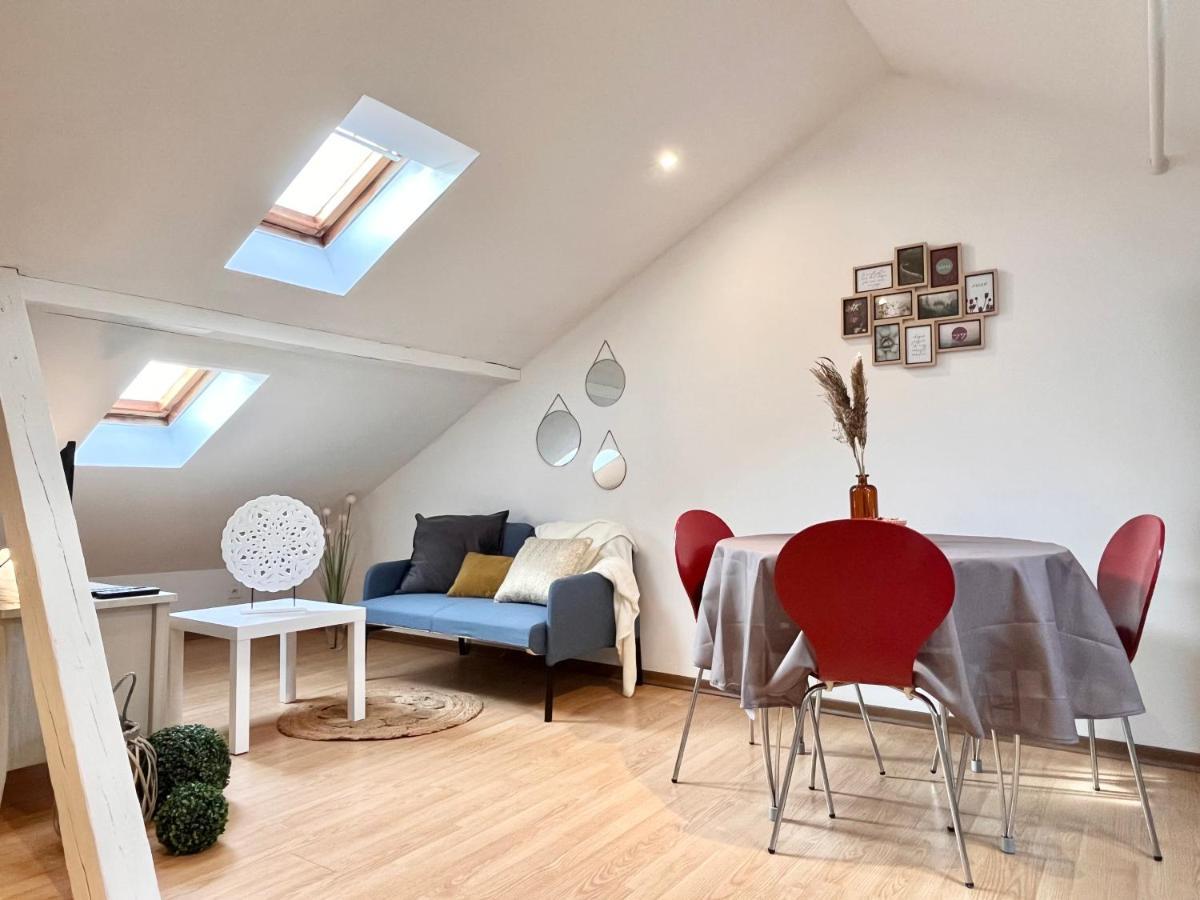 Le Petit Loft, Mulhouse Centre公寓 外观 照片
