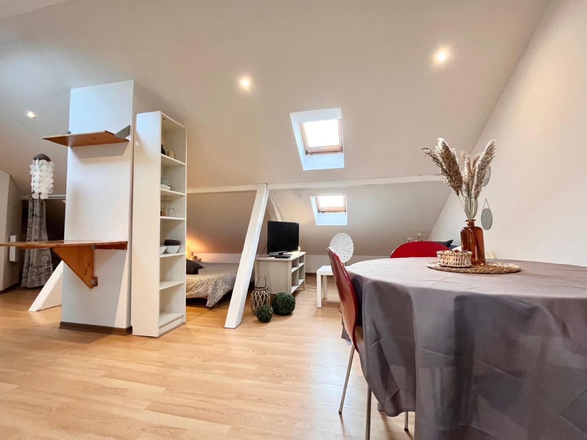 Le Petit Loft, Mulhouse Centre公寓 外观 照片