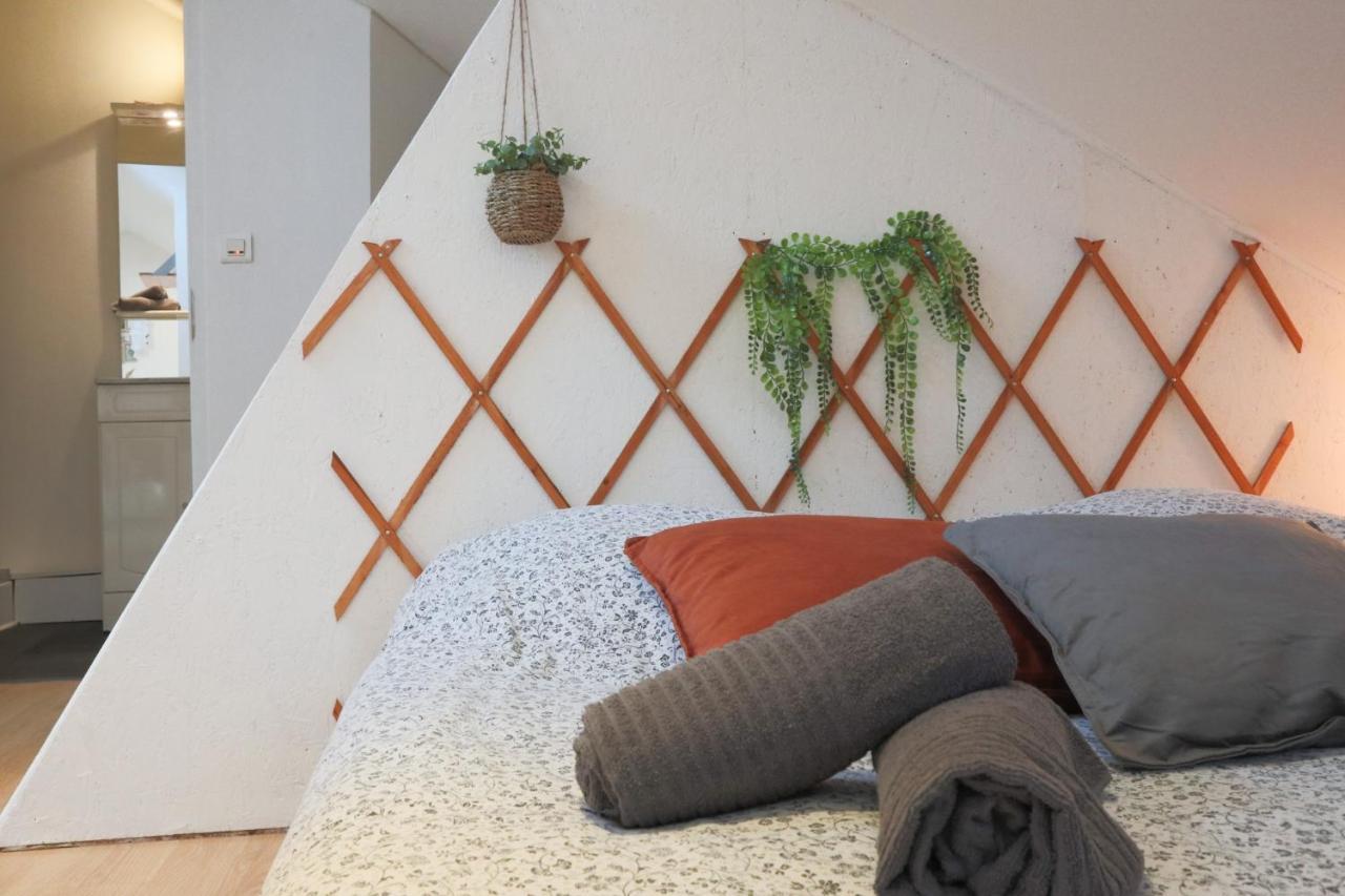 Le Petit Loft, Mulhouse Centre公寓 外观 照片