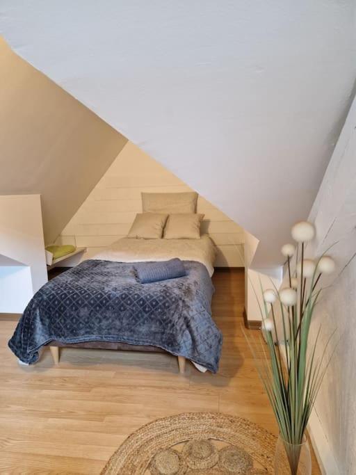 Le Petit Loft, Mulhouse Centre公寓 外观 照片
