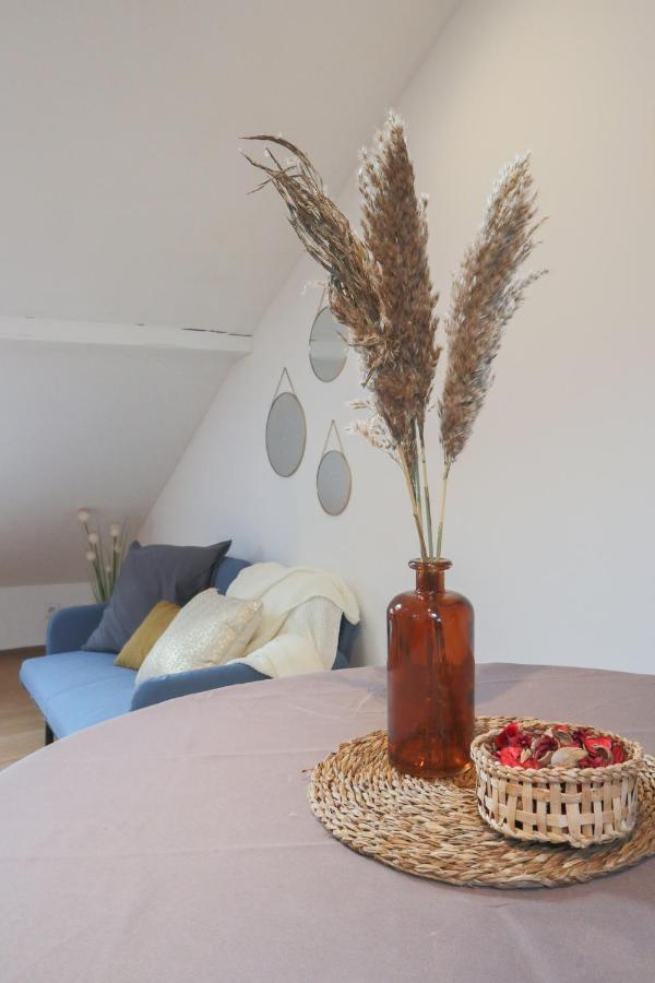 Le Petit Loft, Mulhouse Centre公寓 外观 照片