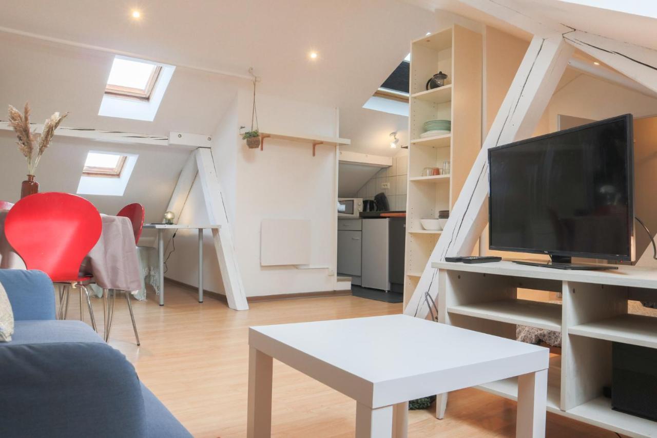 Le Petit Loft, Mulhouse Centre公寓 外观 照片