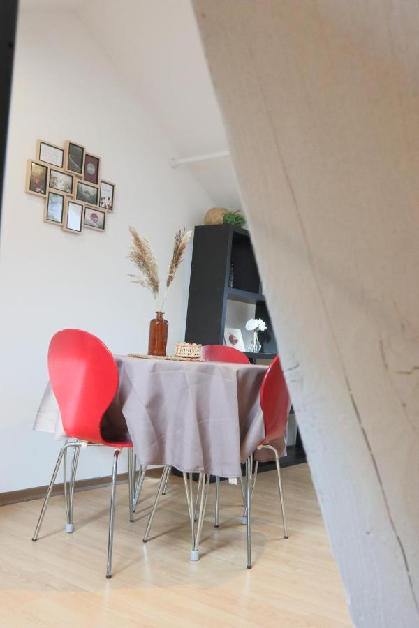 Le Petit Loft, Mulhouse Centre公寓 外观 照片