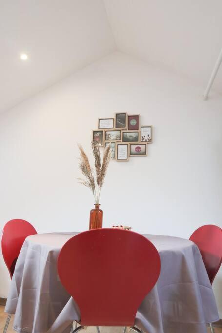 Le Petit Loft, Mulhouse Centre公寓 外观 照片