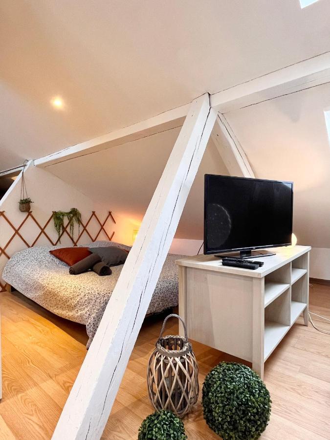 Le Petit Loft, Mulhouse Centre公寓 外观 照片